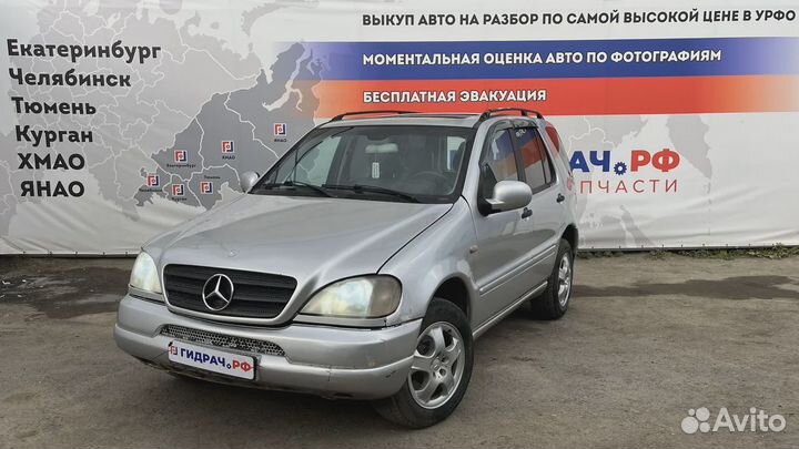 Рейка топливная (рампа) Mercedes-Benz ML (W163) 11