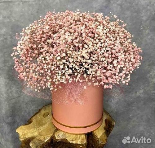 Цветы гипсофилы