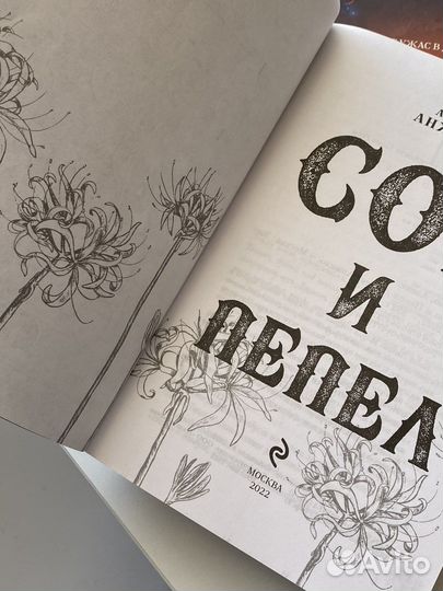 Книга «Сон и Пепел»