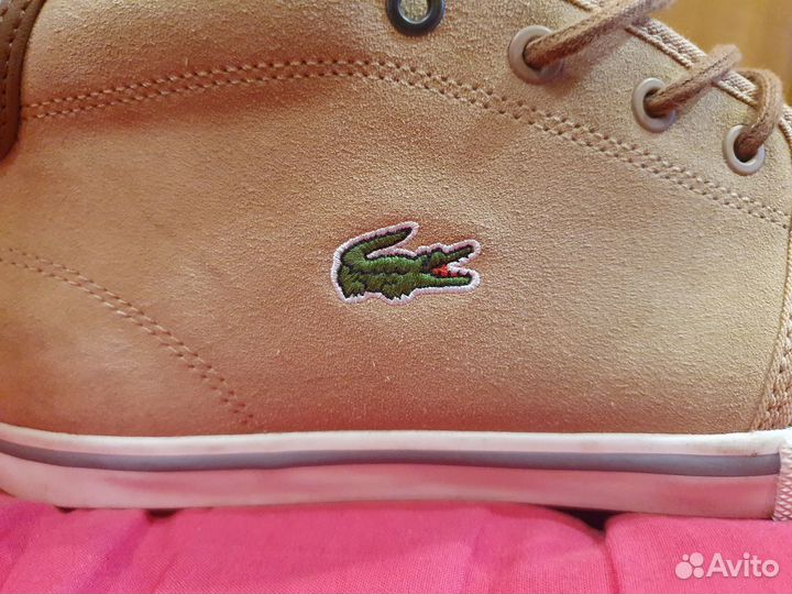 Кроссовки мужские lacoste 42