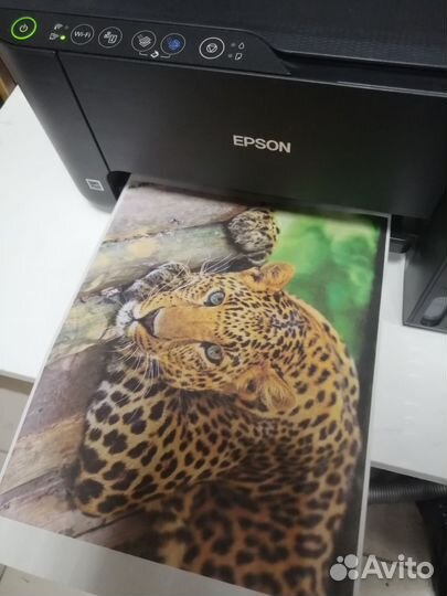 Цветной мфу Epson L3150