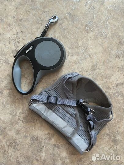 Вещи для маленьких собак