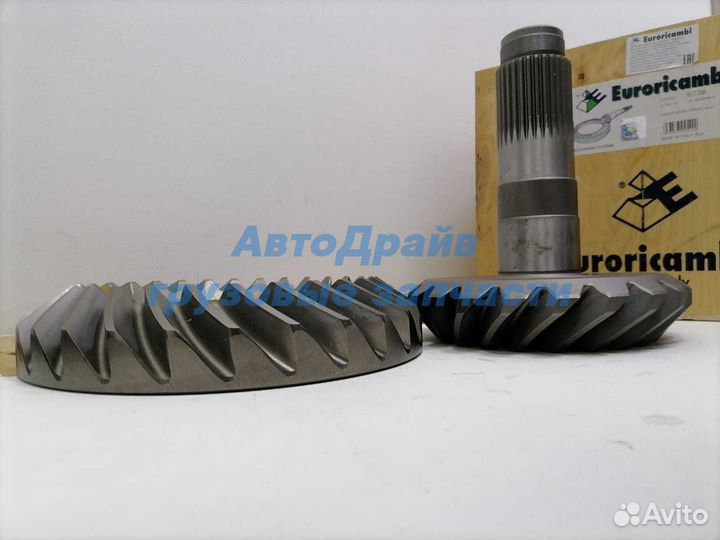 Главная пара Ман Тгс Man Tgs