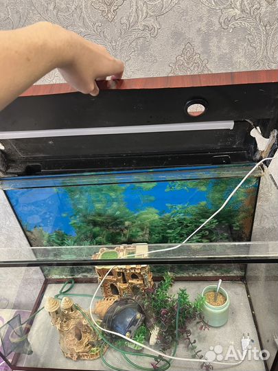 Аквариум с тумбой 120л