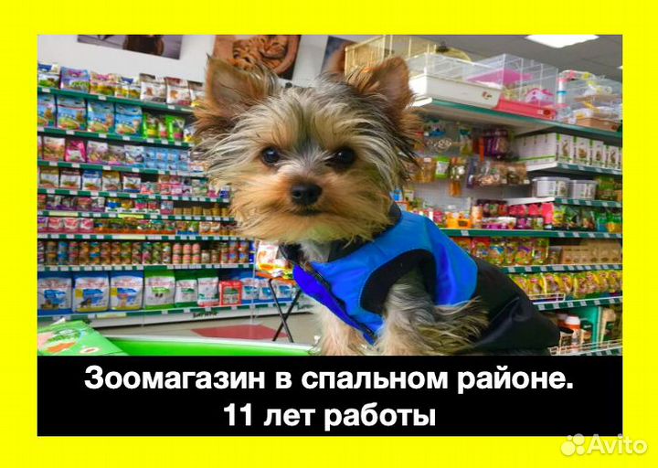 Зоомагазин. 11 лет работы. Без конкуренции