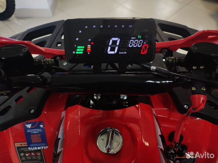 Квадроцикл C8 NEW LUX 2024