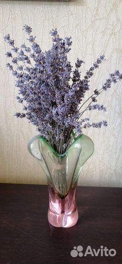 Лаванда сухая