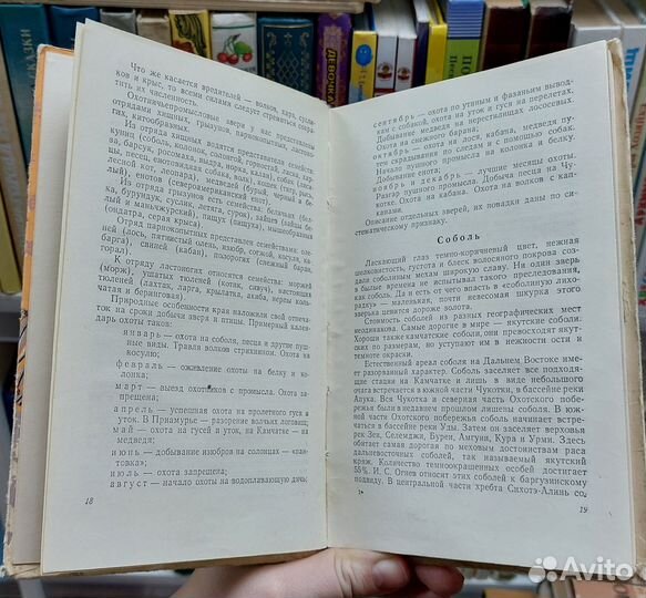 Сысоев В. П. Охота в Дальневосточной тайге. 1960 г