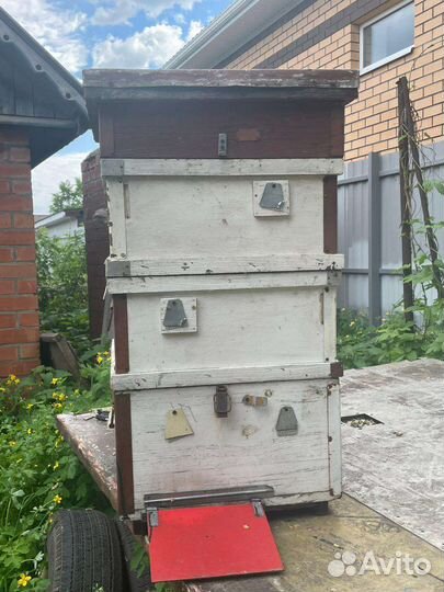 Улей для пчел бу