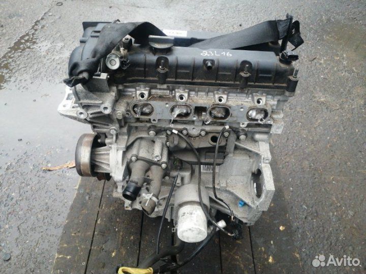 Двигатель pnda 1.6 Ford Focus 3