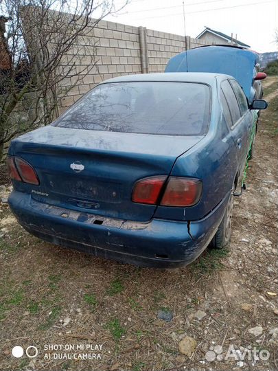 Авторазбор ниссан премьера п 11 144