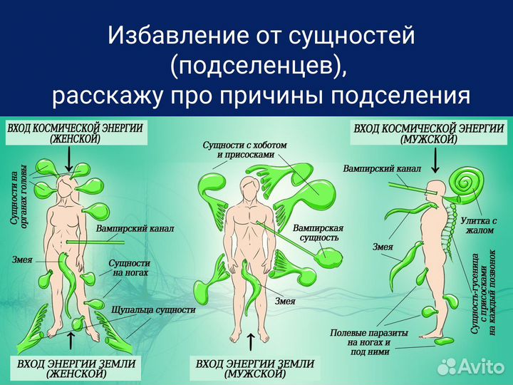 Энергопрактик обучение или снять порчу сглаз