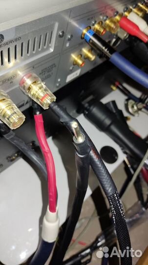 Physics style everest 2m, акустический,бананы