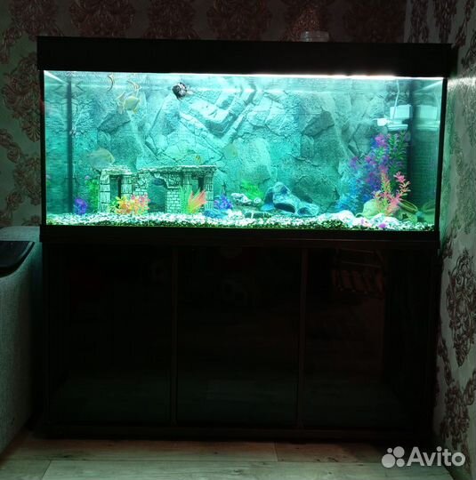 Аквариум с тумбой 300 литров