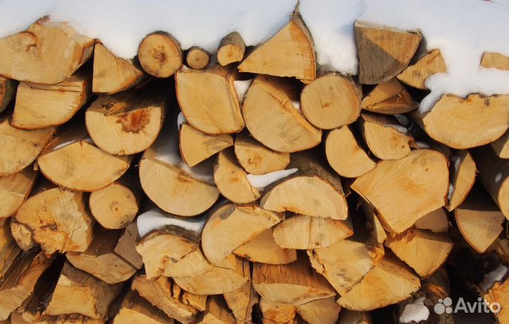 Дрова осина