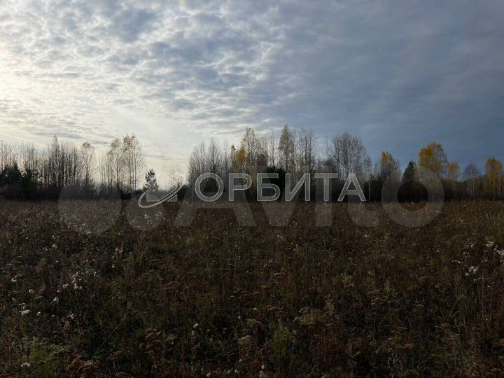 Участок 12,5 сот. (ИЖС)