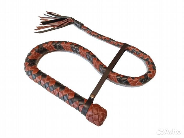 Плеть Сетчатая Змея
