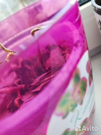 5 шт. Кашпо для орхидей и 1 орхидея