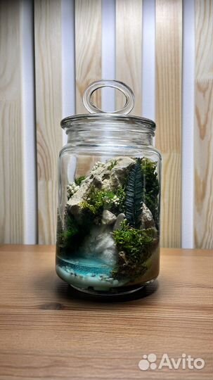 Цветы, подарки, Моссариум