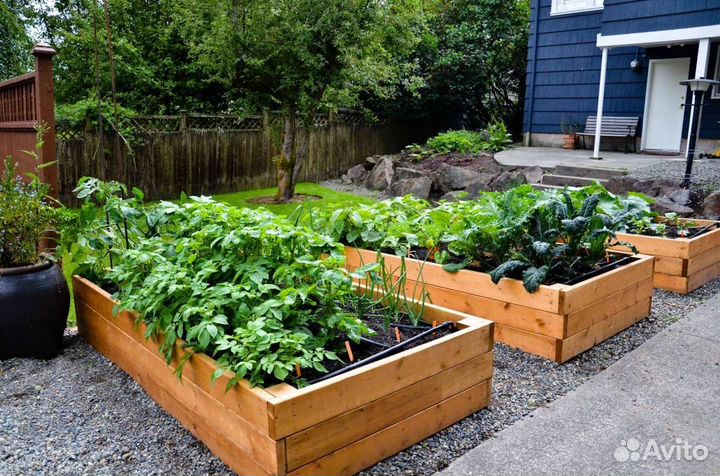 Грунт чёрный. Рыхлая жирная земля