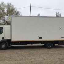 DAF LF 45.220, 2008