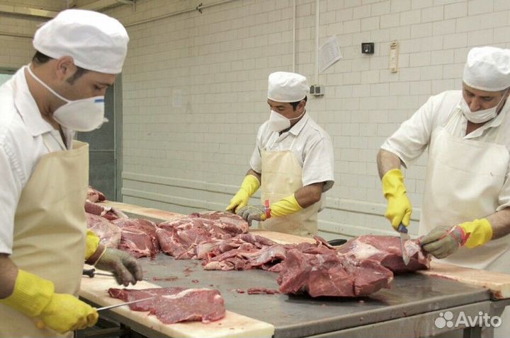 Работа разнорабочим на мясокомбинате(Вахта)