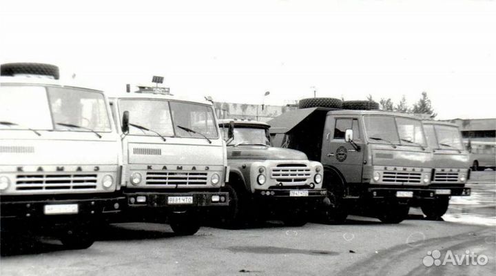 Водититель