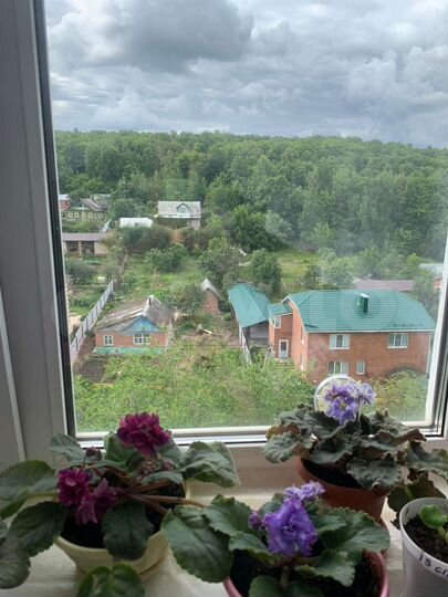 2-к. квартира, 51 м², 9/9 эт.