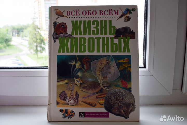 Познавательные книги для детей