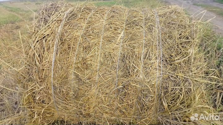 Сено в рулонах