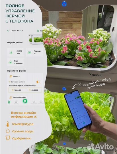 Домашняя садовая ферма Vegebox L-box