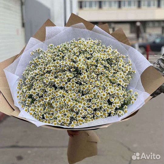 Ромашки Пионы Розы Доставка
