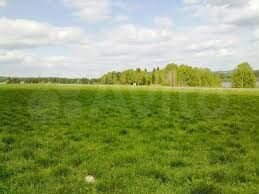 Участок 3,5 сот. (ИЖС)