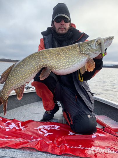 Рыбалка с гидом в Ленинградской обл