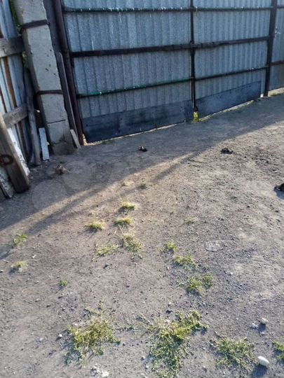 Дом 100 м² на участке 10 сот.