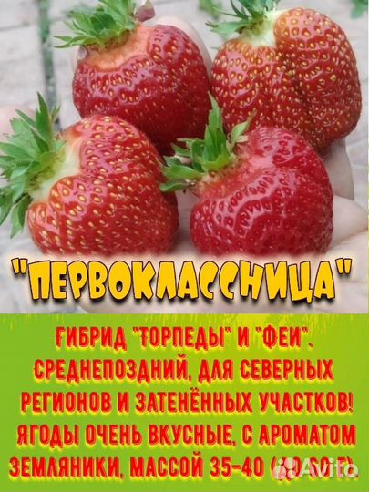 Клубника