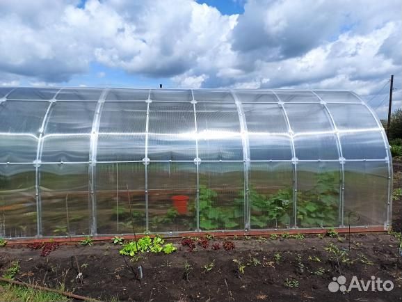 Теплица 