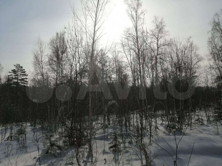 Участок 20 сот. (СНТ, ДНП)