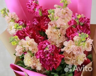 Букет из 9 маттиол яркий микс в стильной упаковке