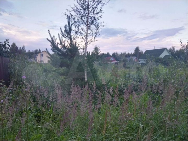 Участок 10 сот. (СНТ, ДНП)