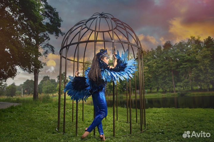 Аренда реквизита и оборудования для фото съёмок