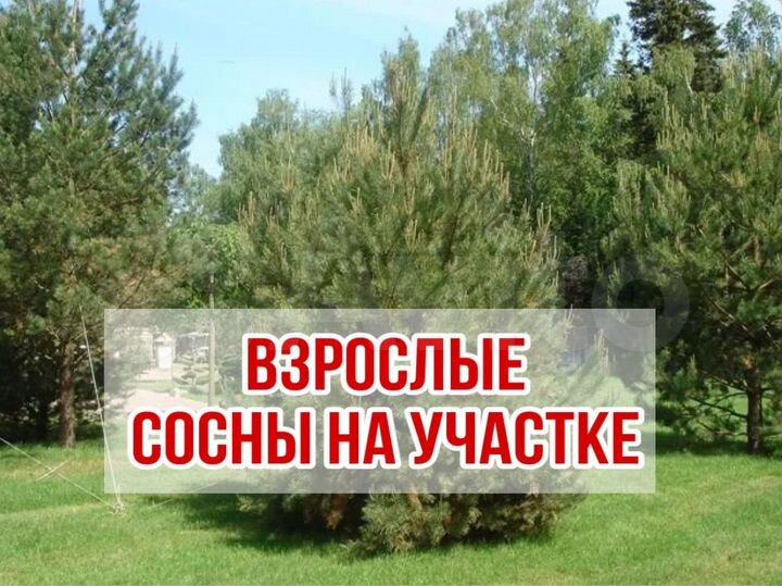 Участок 9 сот. (ИЖС)