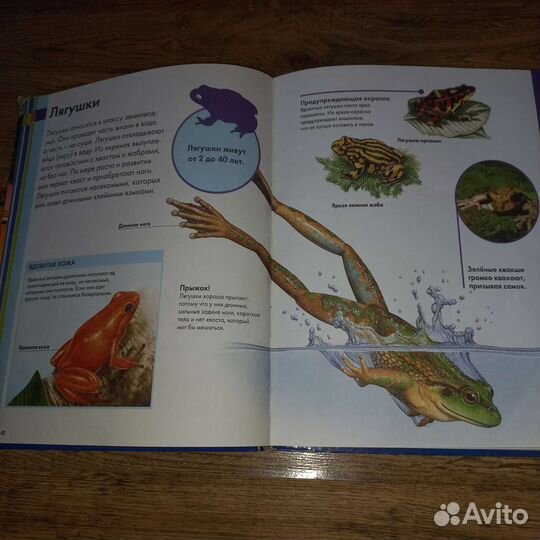 Детская энциклопедия