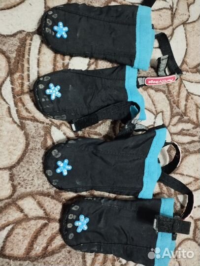 Ботинки для маленьких собак