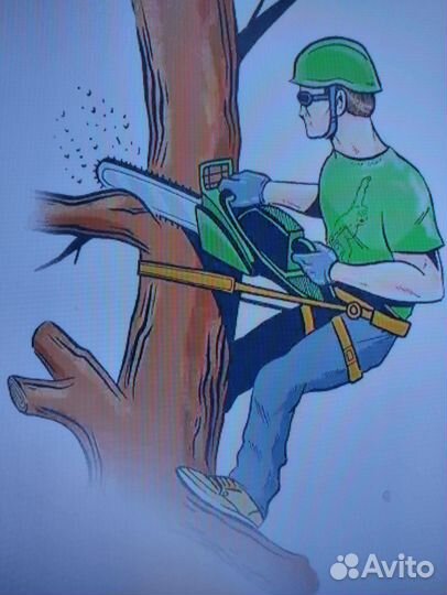 Спил деревьев