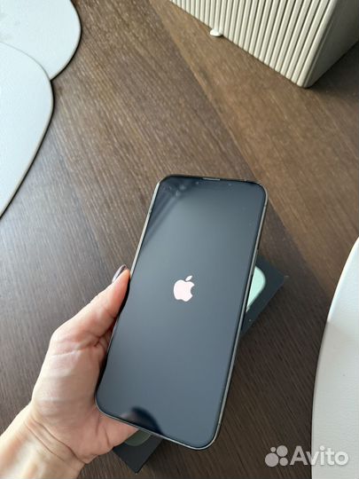 iPhone 13 Pro Max, 256 ГБ