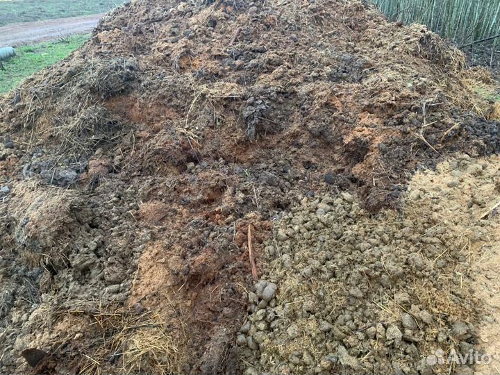 Конский навоз