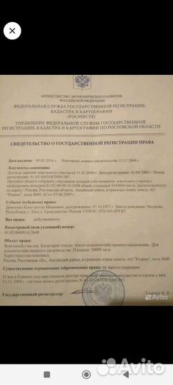 Ищу инвестора