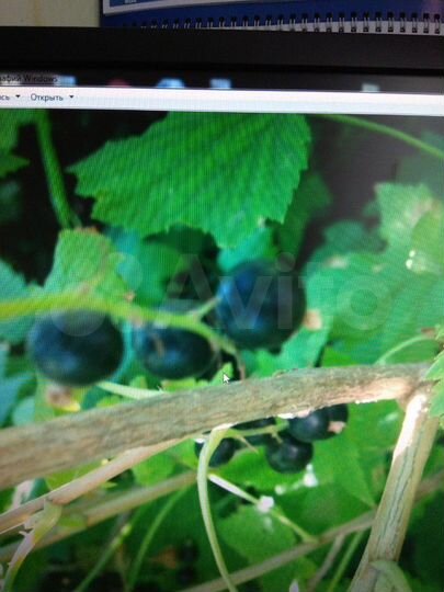 Дача 20 м² на участке 6 сот.