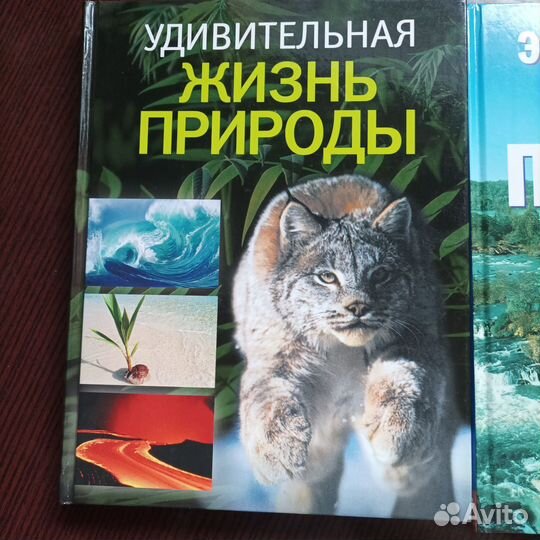 Энциклопедии